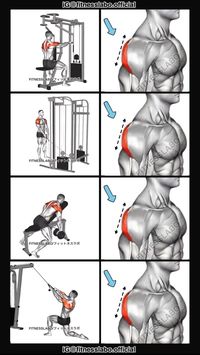 ✅ Rear Delt Workout   ① Reverse Fly ② Cable Y-Raise ③ Incline Y-Raise ④ Cable Face Pull 3 sets 15 reps   #fitness #gym #exercise  #workout #workoutroutine  #exercisetips  #fitnesstips  #bodybuilding  #shoulderworkout  #shoulder