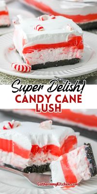 Delight in peppermint candy cane lush, a perfect no bake dessert for the holidays. Layers of chocolate cookie crust, peppermint cream, and vanilla pudding create a festive and delicious Christmas treat.