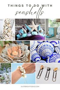 Creative things to do with seashells! From stunning home decor to exquisite jewelry, dive into the endless world of crafts! Let your imagination run wild and bring the beach vibes to your creations. Get inspired today! 🐚✨ #SeashellCrafts