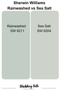 Are you trying to choose between Sherwin Williams Rainwashed vs Sea Salt? We understand how difficult that can be because of their similarities. Fortunately, distinct differences can help you decide between the two.