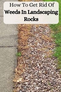 Weeds can be a nuisance in landscaping rocks, but there are effective ways to get rid of them. Learn how to safely and efficiently remove weeds from your landscaping rocks with these helpful tips and techniques.