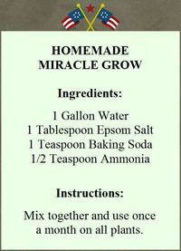 Homemade Miracle Grow | Miracle grow, Miracle grow diy, Fertilizer for plants