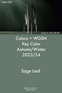 WGSN Key Color Sage Leaf A/W 2023/24 #trends #color #wgsn #coloro