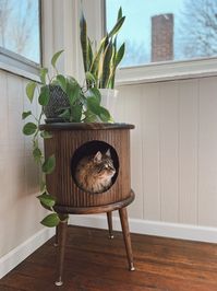 MCM Cat House Table - Etsy