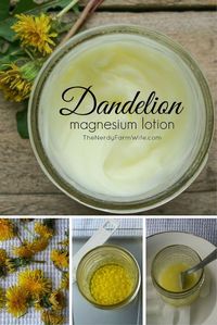 Dandelion Magnesium Lotion for Leg Cramps & Growing Pains