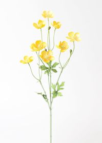 Sprinkle spring cheer into your floral arrangements or wedding flower bouquets with adorable yellow artificial buttercups. Buy Fake Buttercup Flowers at Afloral.com