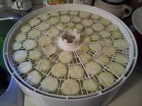 Dehydrating Eggplant - And what to do with it.