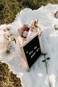 picnic proposal ideas, outdoor picnic proposal ideas simple elegant, intimate proposal ideas, engagement ideas, proposal ideas