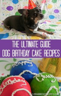 The Ultimate Guide to Dog Birthday Cake Recipes by IrresistiblePets.com// Every pup deserves a birthday cake!