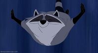 Meeko is my favorite Disney character ever! #Pocahontas