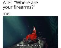 Pretending to have a boating accident is lame. But still, fuck the ATF. - Sentimental