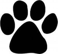 Paw Print!