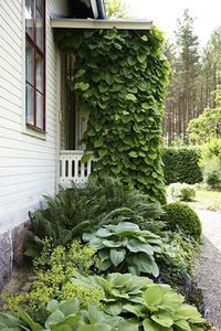 Need this greenery!