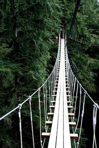 Tree Top Walk in Ketchikan, Alaska