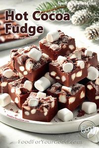 Rich and creamy Hot Cocoa Fudge, perfect for holiday gatherings and gifting! Recipe: https://www.foodforyourgood.com/desserts/hot-cocoa-fudge.html