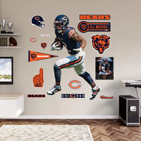 Officially Licensed NFL Removable Adhesive Decal