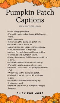 Looking for some funny and cute pumpkin patch captions for Instagram? These pumpkin patch quotes are perfect for celebrating the Fall season with your kids, baby, or as a couple! From carving little pumpkin quotes to fall captions, these aesthetic pumpkin patch sayings are perfect for Instagram, bullet journals, and letterboards. Save these pumpkin quotes to celebrate milestones like your baby’s first Fall, or use with fall family pictures.