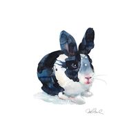 Black and White Bunny, Giclee Print. Watercolor