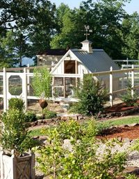 Chook shed