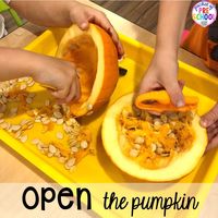 Pumpkin science activities with FREE Printables -parts of a pumpkin, lifecycle of a pumpkin, Pumpkin Jack experiment for preschool, pre-k, and kindergarten.