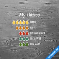 My Thieves - Essential Oil Diffuser Blend