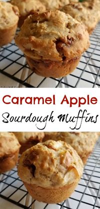 Loaded with apple flavor and great ingredients, these sourdough muffins are sure to become your favorite fall breakfast!