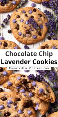 Get ready to fall in love with the best homemade lavender chocolate chip cookies! Chewy and soft in the center, crispy around the edges, and packed full of lavender and chocolate chips, these cookies will have any lavender lover swooning. Chocolate and lavender are a fantastic combination, and each bite is loaded with chocolate and lavender goodness. The bakery style recipe is super easy to make and you probably have the ingredients already stashed in your pantry. | CountryHillCottage.com