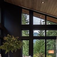 Carrie Delany Interiors on Instagram: "Gorgeous black and tan moments through the home. When you have windows like this, making these spaces dark feels so cozy and warm. . . . Design: @jougestudio"