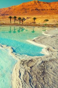 The Dead Sea