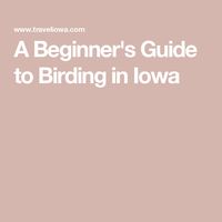 A Beginner's Guide to Birding in Iowa