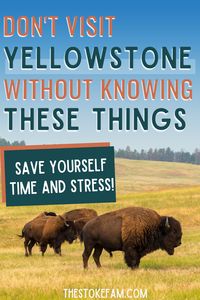 When you're planning a trip to Yellowstone, there are a lot of things to figure out. Where should you stay? Do you need to worry about wildlife? How long will it take to get around? Is there a nearby airport? We've answered these questions and more for you in this post.