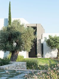 Cala Jondal - A garden in shades of green on the island of Ibiza | Mediterranean garden | olive tree | garden design | garden ideas | contemporary house | Ibiza home | Ibiza garden designer | garden inspiration | Cypress trees 🌳 #ibiza #terravitaibiza #landscapedesign #architecture #interiordesign #gardendesign #mediterraneangarden #gardenideas #gardeninspiration