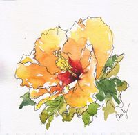 This beautiful line and wash original watercolor pen and ink painting depicts a peach Hibiscus flower from a neighbor's front yard. They had two stunning Hibiscus plants in their front walkway which I would visit often. The Hibiscus is an unique flower and this original work of art would make a great colorful addition to your wall. Original watercolor line and wash pen and ink painting. This is not a print. Medium: watercolor with pen and ink Substrate: artist grade 140lb watercolor paper Image