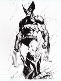 Wolverine by David Finch  Comic Art