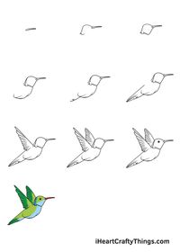 How to Draw a Hummingbird — Step by Step Guide