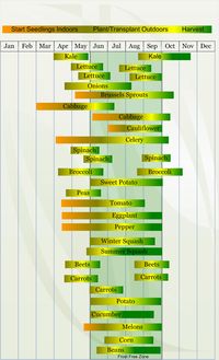 Zone 5 planting schedule