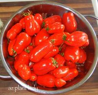 How to Freeze Fresh Tomatoes, Step-by-Step