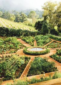 Avantgardens. Mandala Garden in Constantia, Cape Town, South Africa.