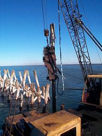 This is an operation to extract pole of the lucin cutoff trestle from Great Salt Lake