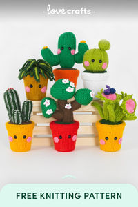 Brighten up your space with Botanical Buddies! This free toy knitting pattern features adorable cacti, bonsai, a Venus fly trap, and a charming spider plant, all crafted in Paintbox Yarns Simply DK. Perfect for kids and adults alike, these knitted plants make delightful teacher gifts or cute décor for your windowsill or bookshelf.