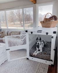 Impact Dog Crates offers beautiful pieces to go with any home! Winnie’s crate pictured here is the 54” collapsible aluminum crate. It is a beast and could easily hold 2 of her! We love this crate. It has ventilation for optimal airflow, military grade handles for carrying, durable lightweight aluminum, long lasting construction, reinforced doorframe to increase strength and durability, and rivets are rated 500 lbs of shear force!