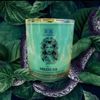 Medusa Altar Candle, Cinnamon & Sandalwood Scented with Serpentine crystal, Seashell, Juniper Berry and pure Silver Leaf, Gorgon worship Candle Includes snake charm Soy wax