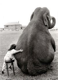 girl and elephant photo by samlovesherdog, via Flickr