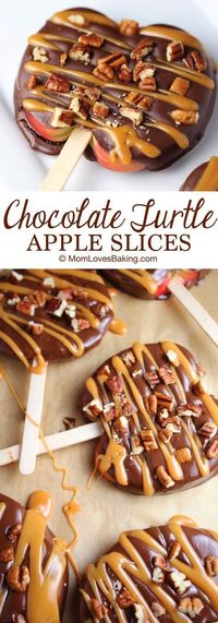 Chocolate Turtle Apple Slices are thick slices of Fuji apples covered in melted chocolate, drizzled with caramel and topped with nuts.