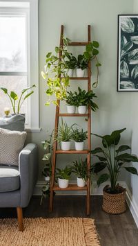 Transform your living space with plant decor indoor by building a DIY plant ladder. A simple and stylish way to showcase your indoor garden.