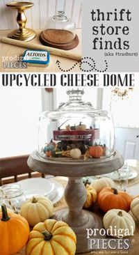 Oh how cute!! This upcycled cheese dome turned farmhouse style cloche is perfect for creating vignettes for fall, winter, summer, spring and more. Get the DIY details at Prodigal Pieces | prodigalpieces.com #prodigalpieces #handmade #fall #home #homedecor #crafts #autumn #diy