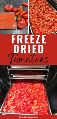 How to Freeze Dry Tomatoes - Aunt Niki's Farm