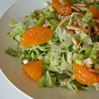 Use your blender to make a poppy seed dressing to top a salad of lettuce, mandarin oranges, green onions, and almonds with this recipe.