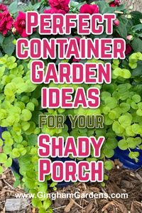 Stop by Gingham Gardens for a bunch of creative container ideas for shade. Including the best container plants for shade, along with adorable ideas for shady front porches. Colorful shade planter ideas. Flower pots for shade. Shade-loving annuals and perennials for  container gardens.