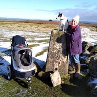 At the Trig Point at the top of Hergest Ridge. The Sporty will get your pooch anywhere! Thank you for the pic Roger! 🐶💚 • • • • •  #dogoftheday #sportydogstroller  #ilovemydog #puppylove🐶   #spoiltpooch #sportyinnopet  #innopet #doglife   #luxurydog #lovedogs   #dogtravel #dogsuk  #luxurydogbeds #dogadventures  #ukdogs #ukdogwalkers17 #ukdogsofinsta #dogstroller  #petsownus